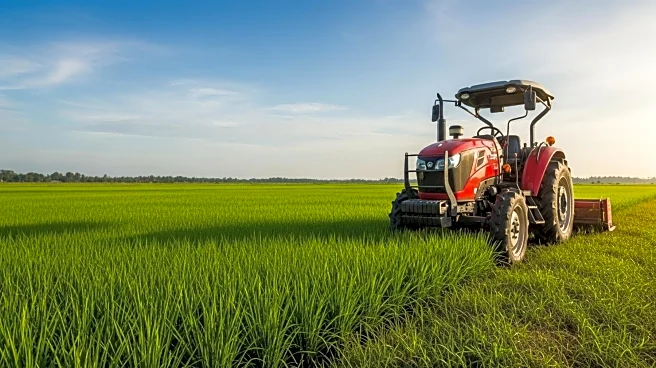 McKinsey Report: Indonesia's Path to High-Income Status Through Productivity