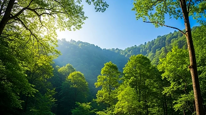 Study Warns Earth's Carbon Storage Capacity May Be Limited