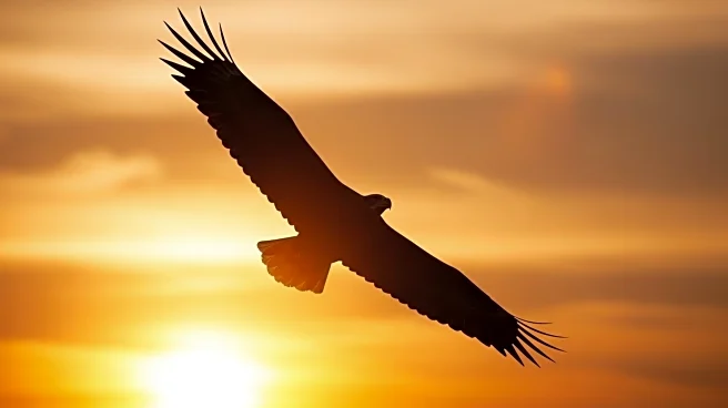 American Eagle Outfitters' Marketing Campaigns Boost Customer Engagement and Sales