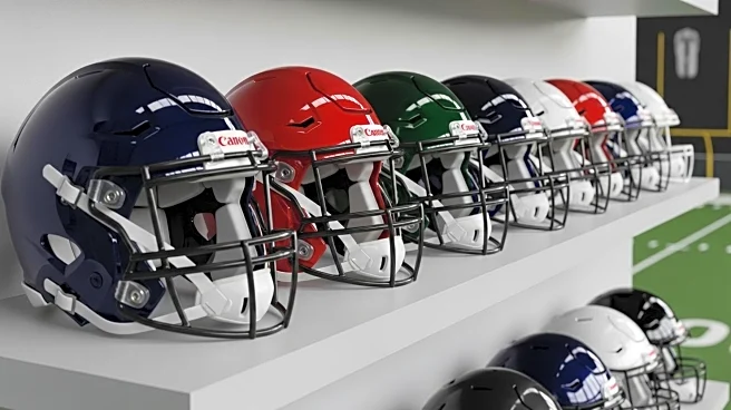 NFL Coaches Face Pressure to Deliver Wins in 2025 Season