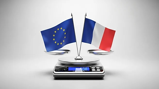 French Government Pushes EU to Delist Non-Compliant Ecommerce Platforms