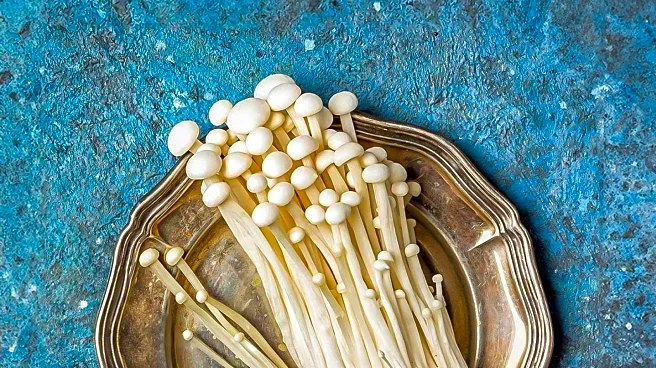 Michael Marks Explores Seasonal Mushroom Cooking in Latest Episode