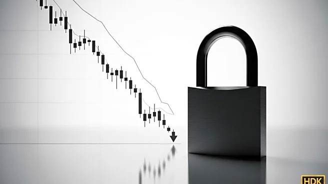 Figma Warns of Share Unlock as Stock Falls Post-Earnings