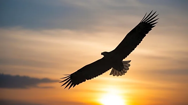 American Eagle CMO Celebrates Sydney Sweeney Ad Impact Amid Controversy