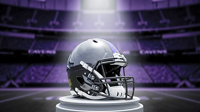 Baltimore Ravens Predicted to Win AFC North in 2025 Season