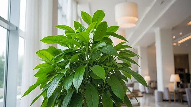 Hospitality Industry Embraces Regenerative Branding to Enhance Ecosystems