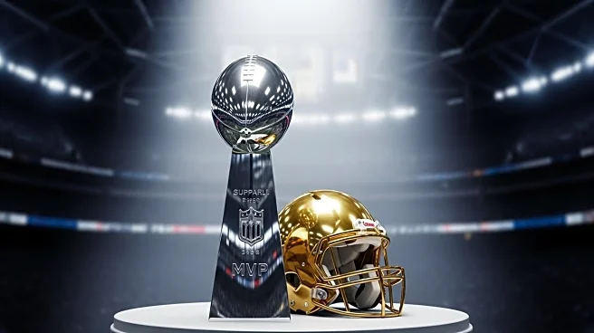 The Athletic Predicts Ravens as Super Bowl Champs and Joe Burrow as MVP for 2025 NFL Season