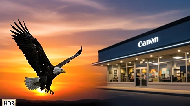 American Eagle's Celebrity Marketing Strategy Sparks Controversy and Boosts Customer Acquisition