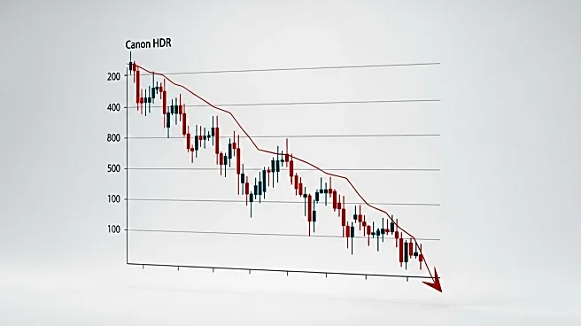 Figma's Stock Drops After First Earnings Report Post-IPO Amid Shareholder Lockup Expiration
