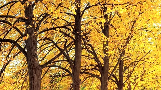 Richland County Park District Celebrates 60th Anniversary with Fall Events