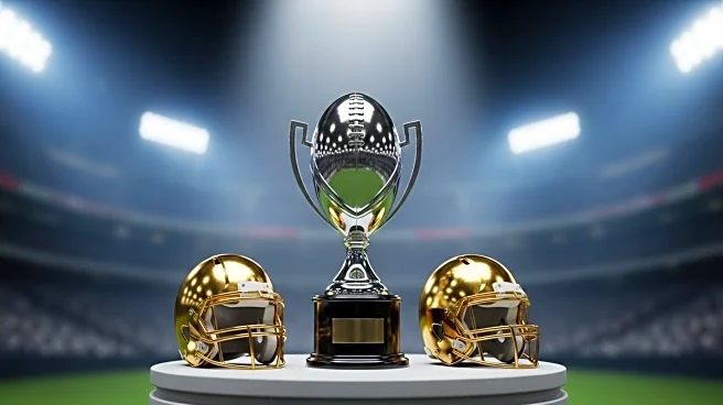 NFL Experts Predict 2025 Season Outcomes: Super Bowl, MVP, and Key Players
