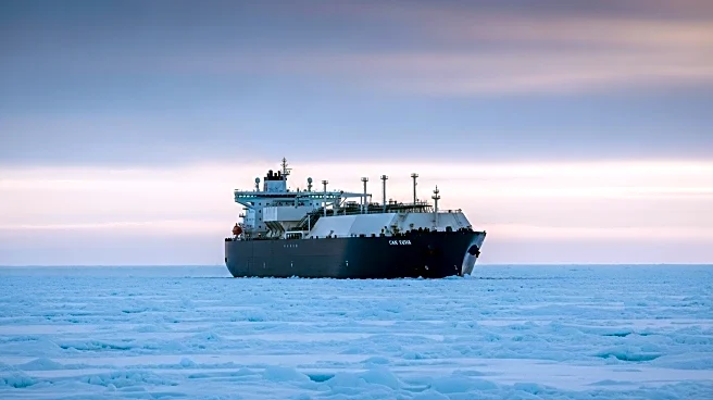 Arctic LNG 2 Delivers First Cargo Amidst Sanctions and Delays