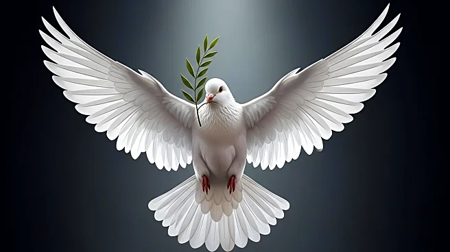 Film Highlights Tragic Death of Palestinian Child Hind Rajab Amid Gaza Conflict