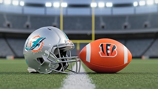 Optimism Surrounds Dolphins and Bengals Ahead of NFL Season