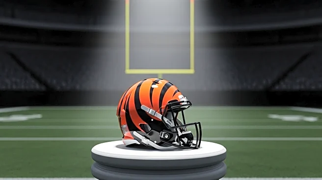Joe Burrow Highlights Shift in Bengals' Narrative Ahead of 2025 Season