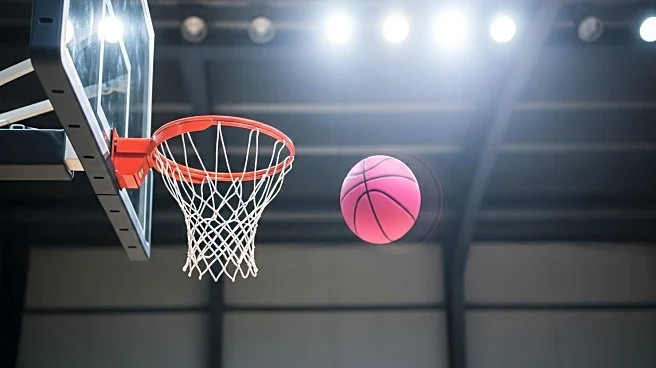Pau Gasol Advocates for Women's Basketball During LA Visit