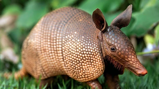 Aardvark Therapeutics Develops Innovative Gut-Brain Signaling Therapies for Obesity