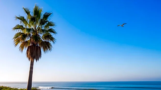 Cooling Trend Continues in Bay Area Weather Forecast