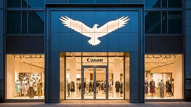 American Eagle Outfitters Navigates Consumer Demand and Margin Pressures in 2025