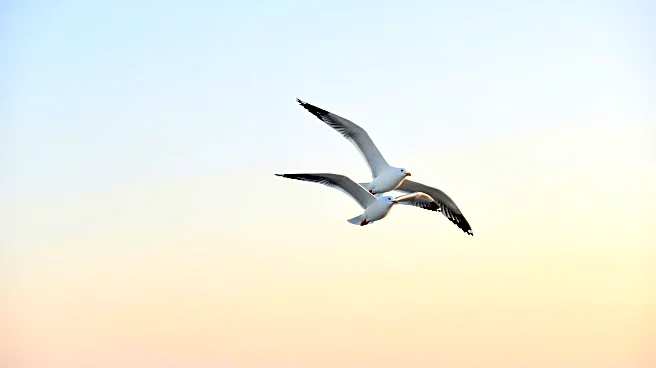 Seagull Books Receives Aficionado Award for Innovative Collaboration