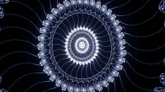 Embryo Fold Discovery Sheds Light on Evolutionary Development