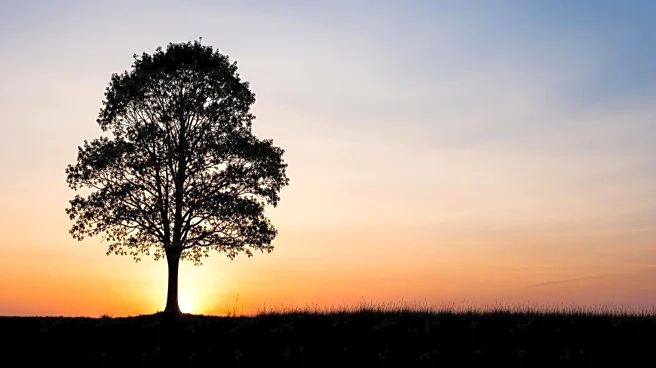 Supporters Launch 'Friends of JNF Canada' After Charitable Status Revocation