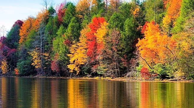 Finger Lakes Fall Festivals Celebrate Seasonal Magic and Community