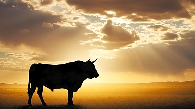 Rodeo Community Mourns Passing of Top Bull Ricky Vaughn After Unrideable Career