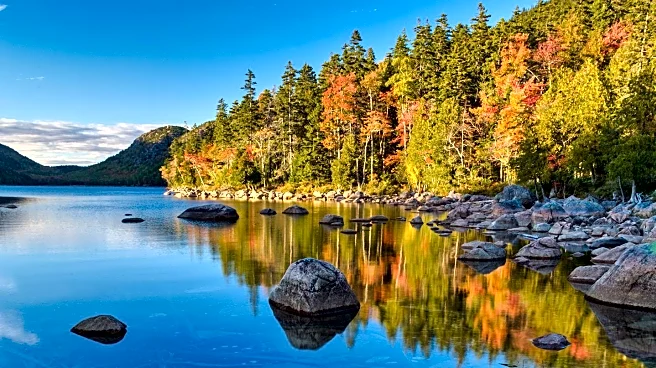 New England Fall Foliage Forecast Discussed by Experts