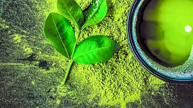 Experts Debunk Matcha's Alleged Link to Hair Loss