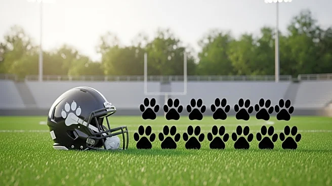 Buffalo Bills Player Khalil Shakir Rescues 19 Dogs from Euthanasia