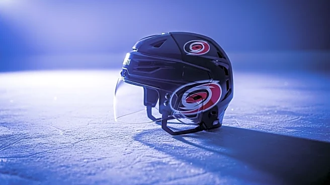 Carolina Hurricanes Introduce Struttin' Stormy Mascot on New Jerseys
