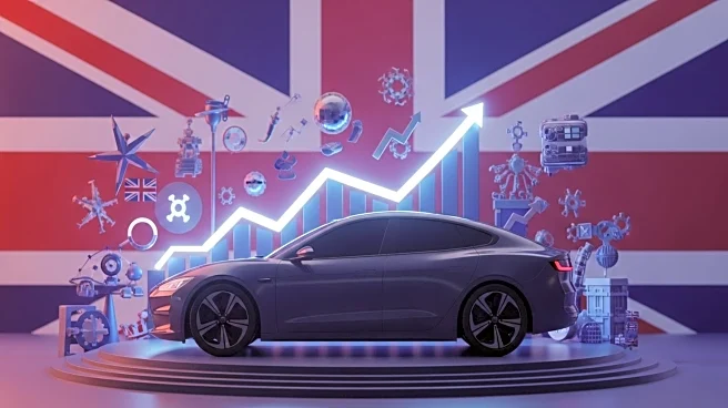 Tesla's UK Car Sales Increase Amid Overall Market Decline