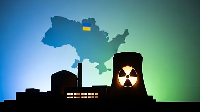 Russia Open to Discussing Nuclear Fuel in Ukraine with US