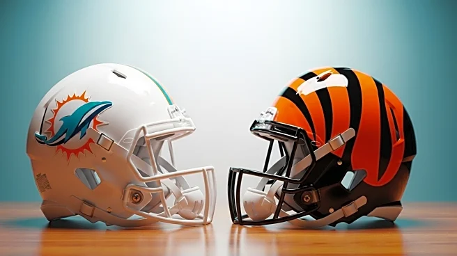 Peter Schrager Expresses Optimism for Dolphins and Bengals in Upcoming NFL Season