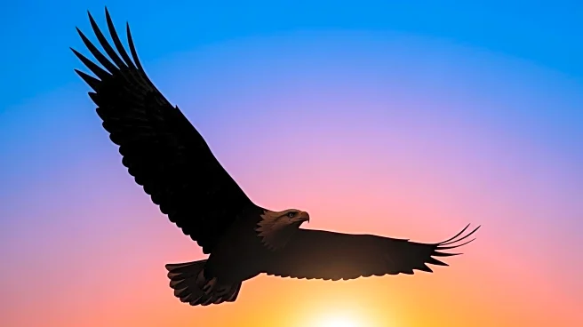 American Eagle's Stock Surges Due to Celebrity Endorsements and Strong Sales