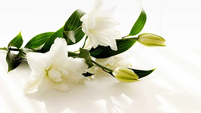 Helen R. Barr-Brown's Passing and Upcoming Funeral Service Announced