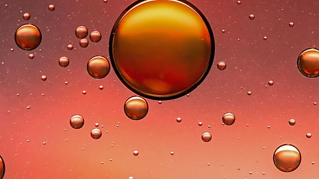 UNSW Sydney Researchers Identify Mechanical Stress as Key Factor in Melanoma Metastasis