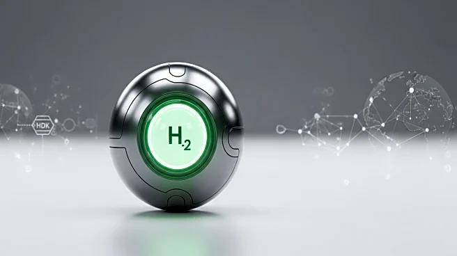 South Africa's Green Hydrogen Project Gains Global Attention with German Funding