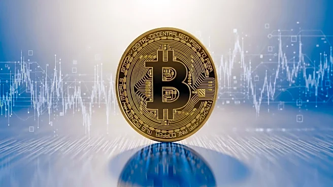 Bitcoin's Market Volatility Raises Concerns Over Corporate Treasury Strategies