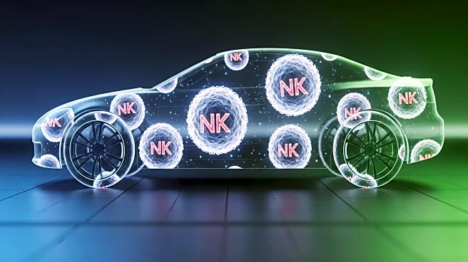Humanized ROBO1 CAR Integration in NK Cells Shows Promise Against Lung Cancer