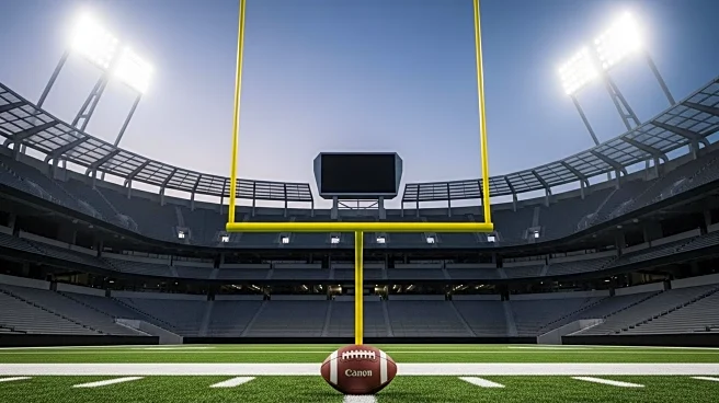 Buffalo Bills Place Kicker Tyler Bass on Injured Reserve, Matt Prater to Step In