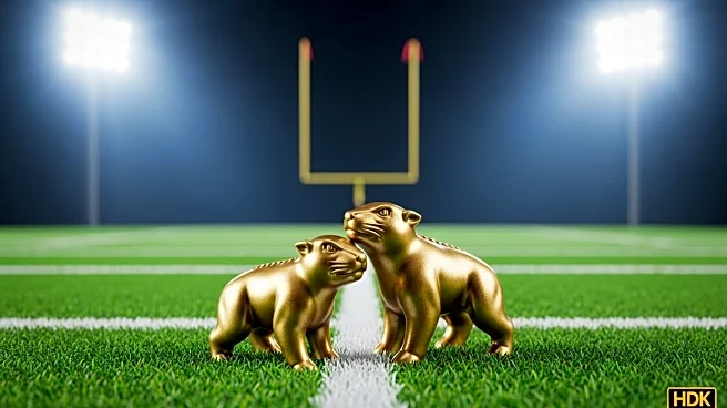 Minnesota Gophers Favored to Win Big Against Northwestern State