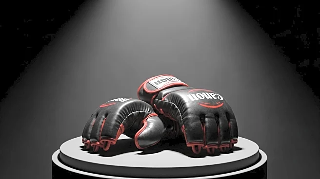 UFC Collectibles Fall Auction Offers Fight Worn Memorabilia