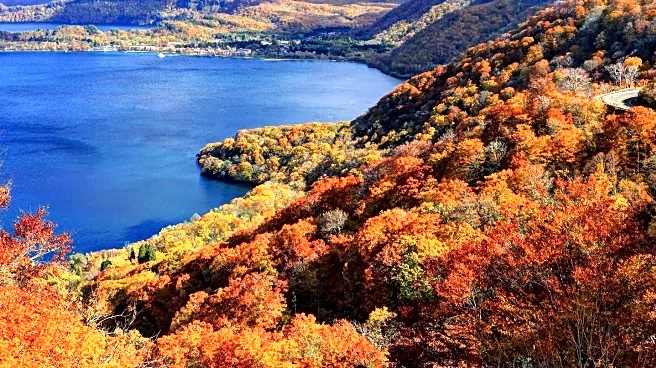 HomeToGo Reports 27% Increase in Autumn Travel Demand, Highlights U.S. Leaf Peeping Destinations