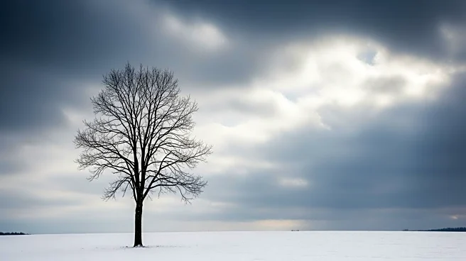 Andrew Miller's 'The Land in Winter' Explores Domestic Turmoil and Post-WWII Unease