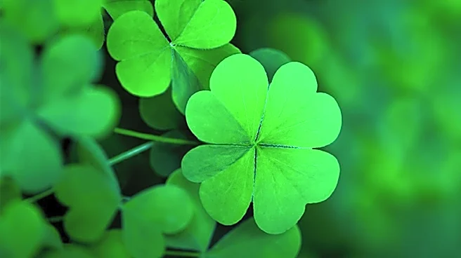 Pittsburgh Irish Festival Celebrates Culture and Heritage