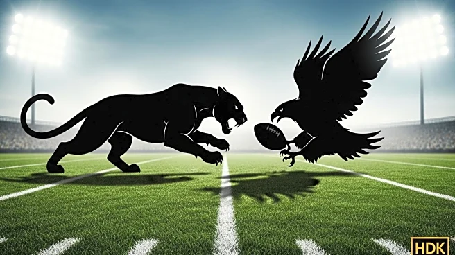 North Crowley Panthers Face DeSoto Eagles in High-Stakes Texas Football Rematch