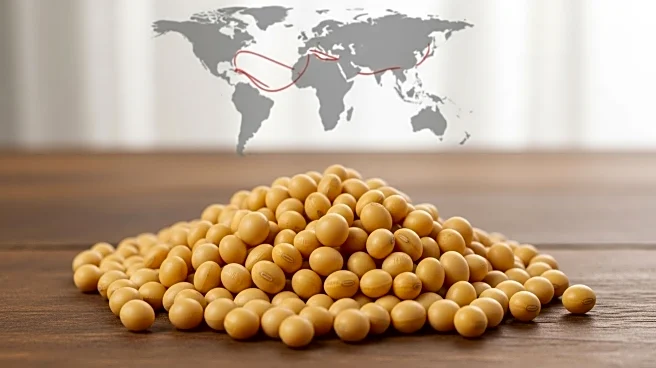 U.S. Soybean Export Sales to Unknown Destinations Raise Market Volatility Concerns