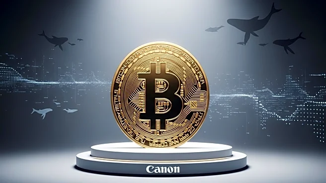 Bitcoin's Institutional Momentum and Whale Activity Drive $130K+ Price Targets